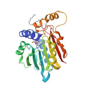 PmtA from R. thermophilum complexed with DMPE and SAH 이미지