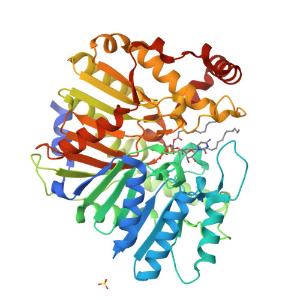 PssA from E. coli in apo and complexed with 16:0/16:0 CDP-DG 이미지