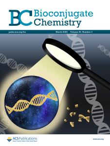 Bioconjugate Chem. 2025, 36, 3 이미지