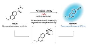 Aldehyde N,N-dimethylhydrazone-based fluorescent substrate for peroxidase-mediated assays†