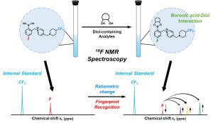 Ratiometric Strategy Based on Intramolecular Internal Standard for Reproducible and Simultaneous Fingerprint Recognition of Diols via 19F NMR Spectroscopy