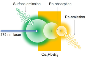 Re-cyclic photophysics in perovskite Cs4PbBr6
