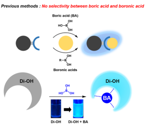 A fluorescent probe for selective detection of boric acids and its application for screening the conversion of the Suzuki–Miyaura coupling reaction